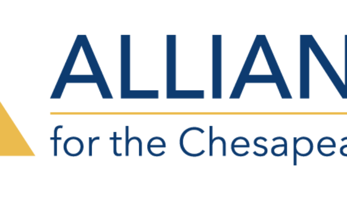Development and Executive Assistant