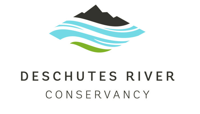 Program Director
